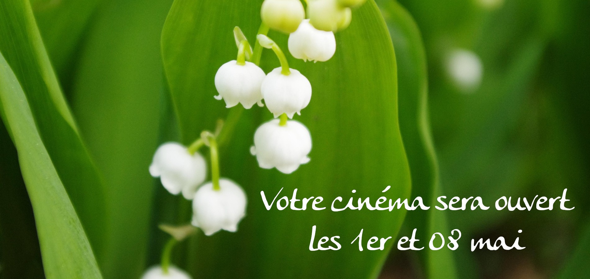 actualité 08 mai ouverture