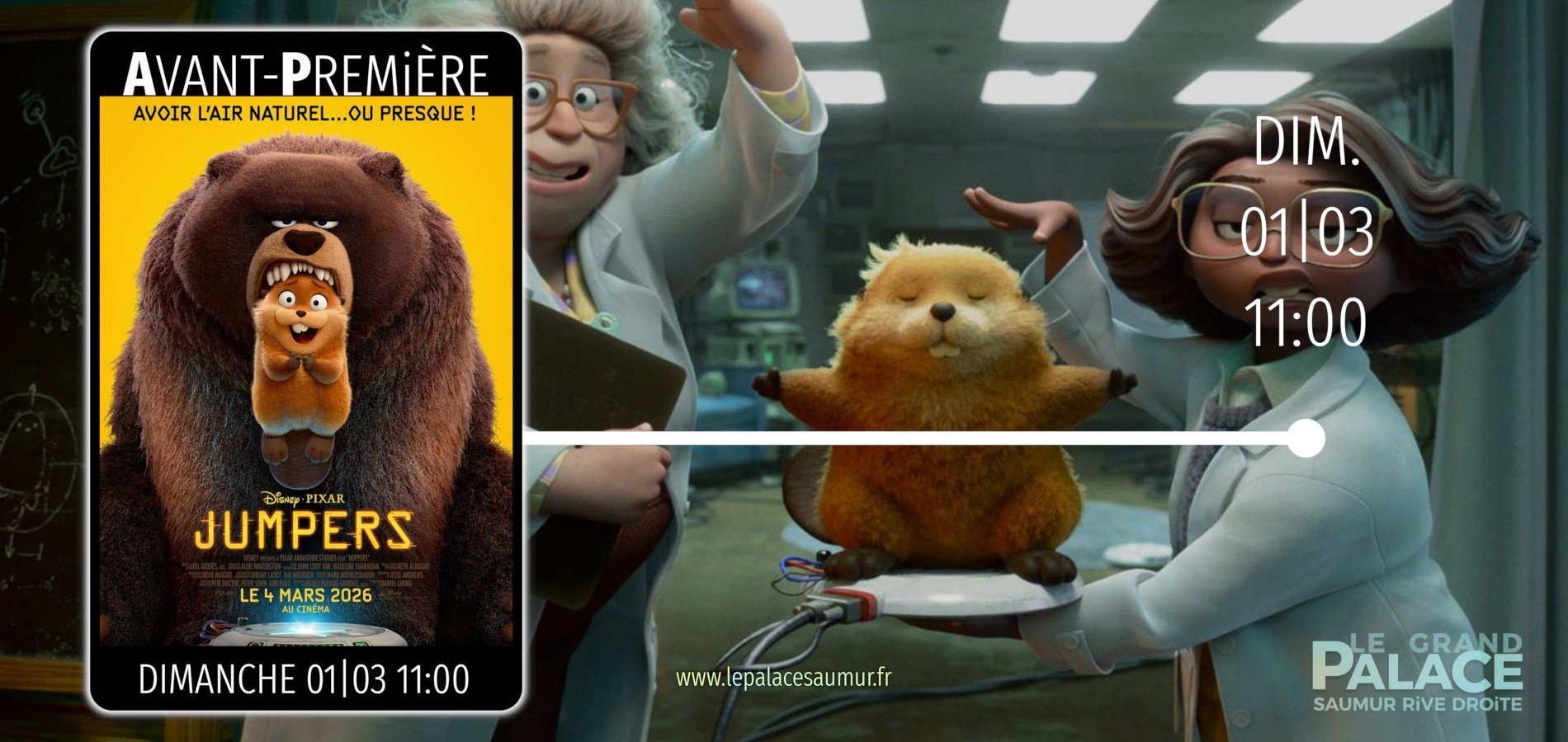 actualité AVP 01|03 JUMPERS