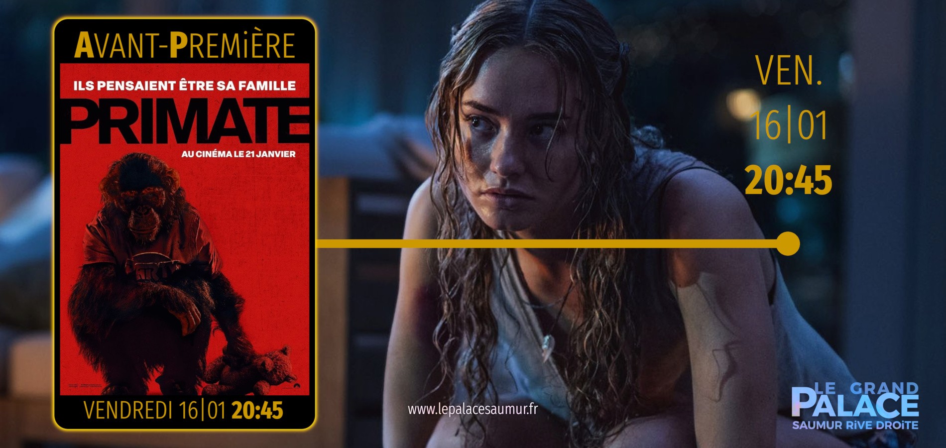 actualité AVP PRIMATES 16|01